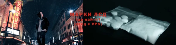 трава Новозыбков