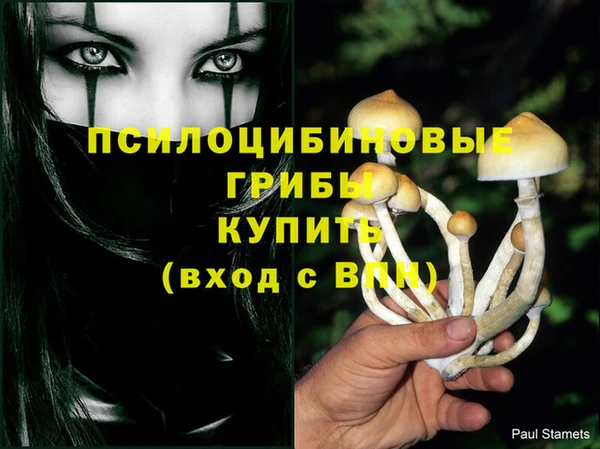бутират Котовск