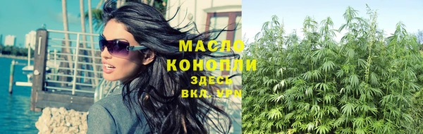 трава Новозыбков