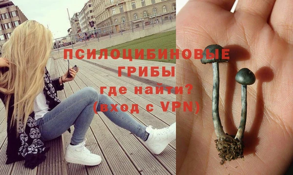 трава Новозыбков