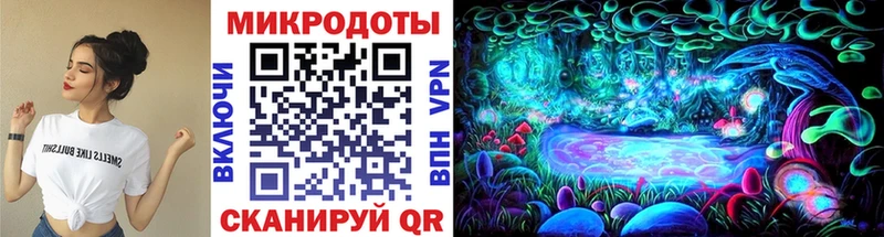 площадка какой сайт  Пустошка  Псилоцибиновые грибы мухоморы 